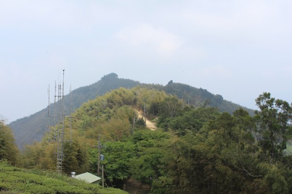 20210417雲林後棟仔山大尖二尖山1358894