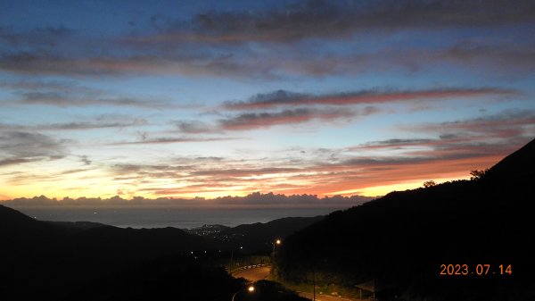 雲山水花鳥蝶 - 天龍國阿伯的日常，沒鳥也沒蝶槓龜 7/14&172217416