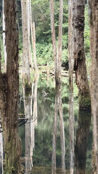 20251005小百岳金柑樹山2906986