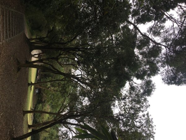 五酒桶山、南崁山2693330