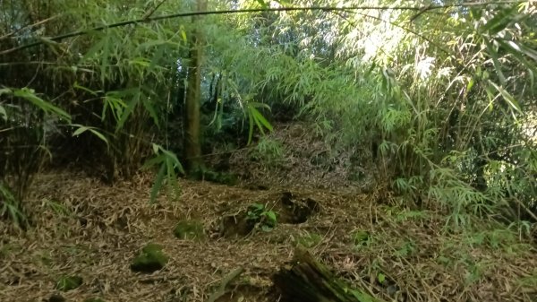 基隆市暖暖車站-暖壽山-暖東苗圃-頂寮山-清法戰爭砲台遺址-碇內3091334