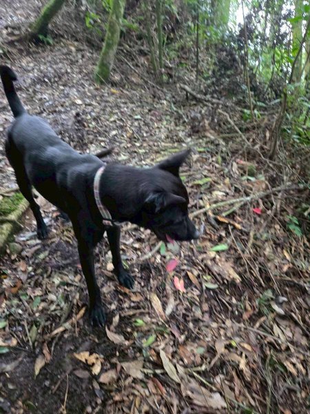 石壁山&嘉南雲峰2876453