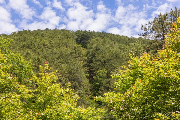 [百岳]大小劍未完2784254