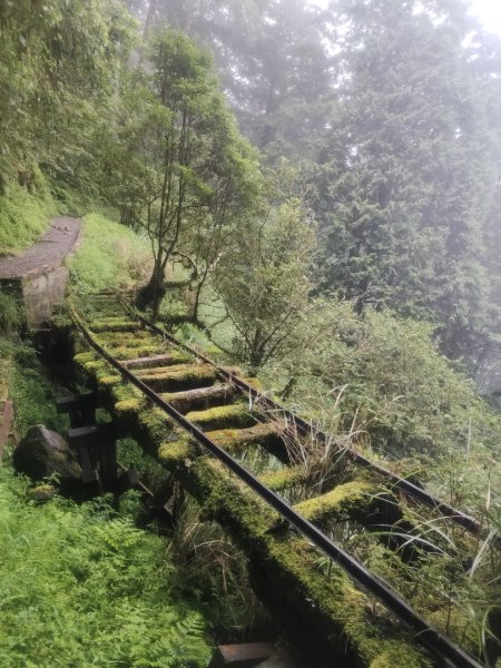 1150728太平山見晴懷古步道3096861