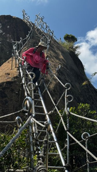 孝子山、普陀山、慈母峰賞鹿子野百合O走2592908