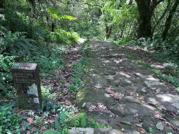 台北大縱走第一段2766805