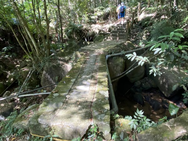 《五指山古道 × 石盤瀑布 × 友蚋山南峰 × 柯子林天然泳池｜尋訪山林古道與靜謐日式庭園》2923012