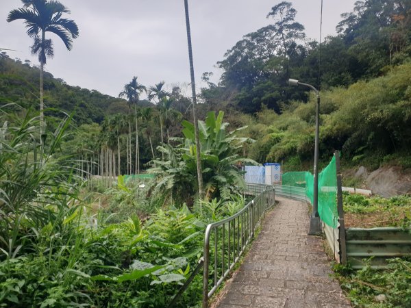 臺北大縱走第六段1516069