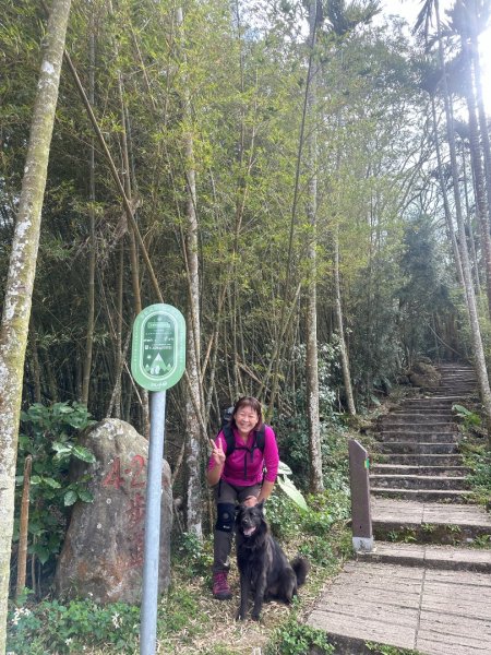 嘉雲二尖山、大尖山2734868