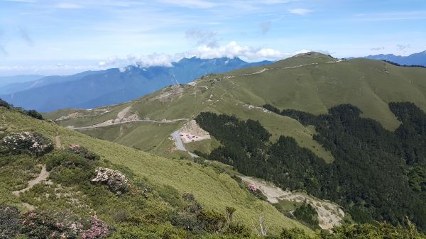 合歡東峰步道 2017 06 06133121