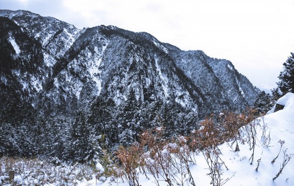 Mt.Jade -玉山冬雪915291