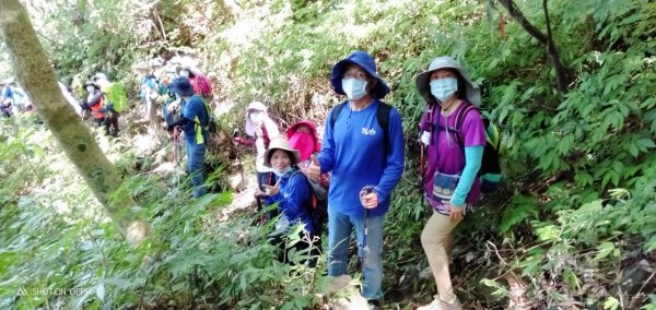 三芝菜公坑山、十八彎古道、淡水楓樹湖步道、天元宮1449467