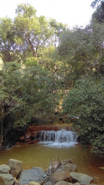 溪水潺涓的半嶺水圳步道、硫氣氤氳的龍鳳谷890851