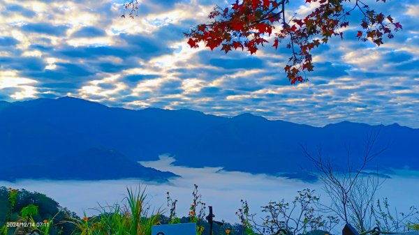 二訪馬拉邦山，解鎖 #琉璃光雲海 #日出雲海  #血月 #斜射光 #楓葉紅了！2668633