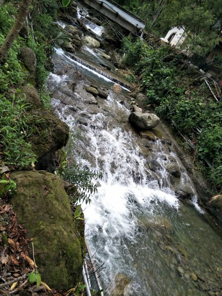 華山步道群(文學步道、1號步道)202105051414640