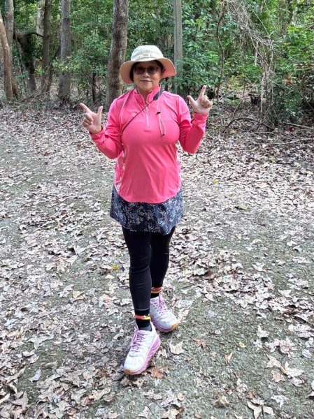 台東三小百岳 Day 1：巴塱衛山#96 加奈美山#95 太麻里山#943006138