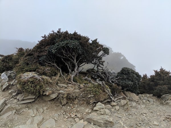 2019合歡東峰及石門山521067