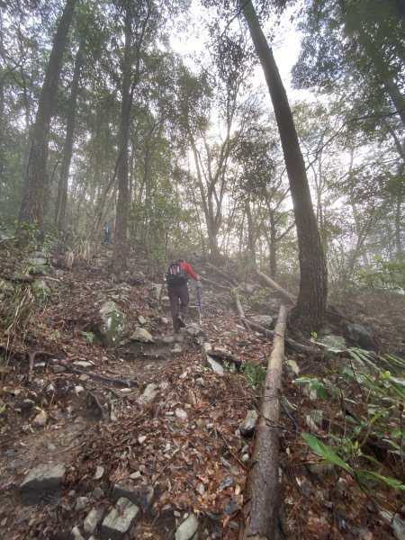 20200315_松鶴上八仙山889072