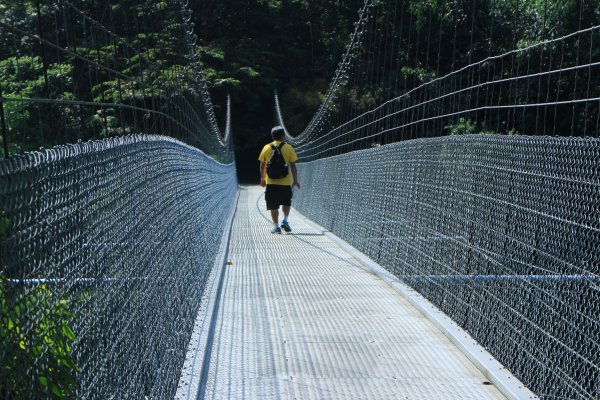 台南虎形山公園步道202009191159491