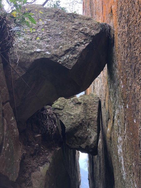 梅峰古道.獵鷹尖 一線天597030