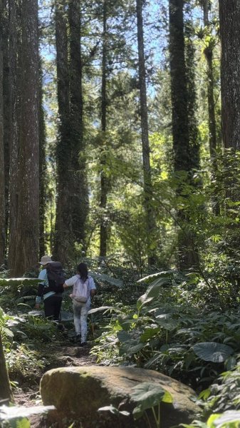 20250927小百岳鳳凰山2896385