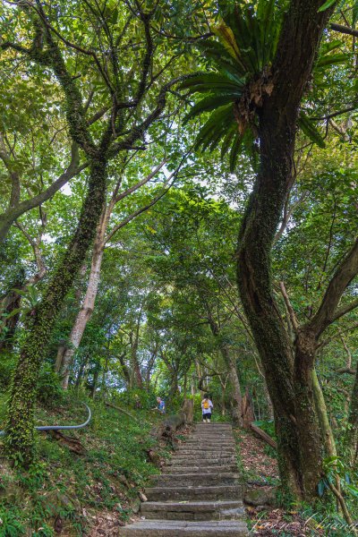 [新北]汐止大尖山2906079