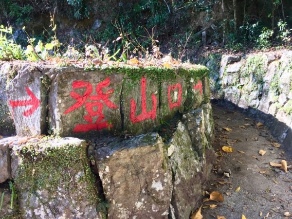 神秘李崠山的雲海、紅槭、古堡遺跡781231