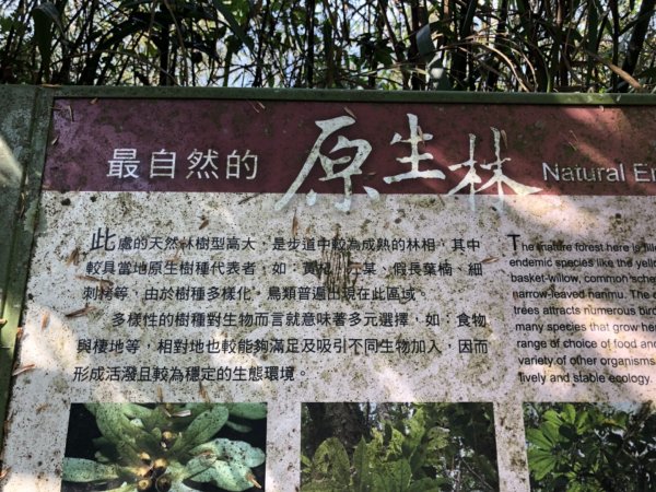 嘉義縣番路鄉二延平山1965549