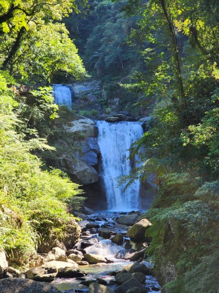 新北烏來｜內洞國家森林遊樂區步道群2904749