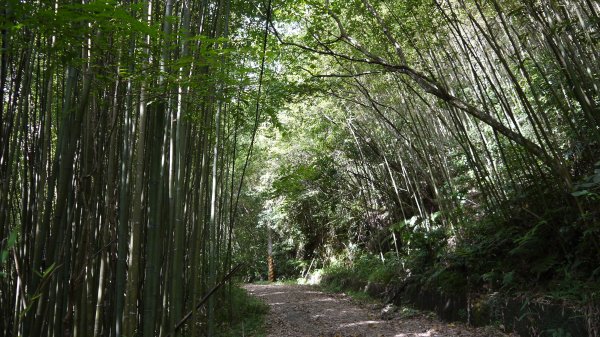 鵝公髻山登山健行趣(小百岳31號)1524807