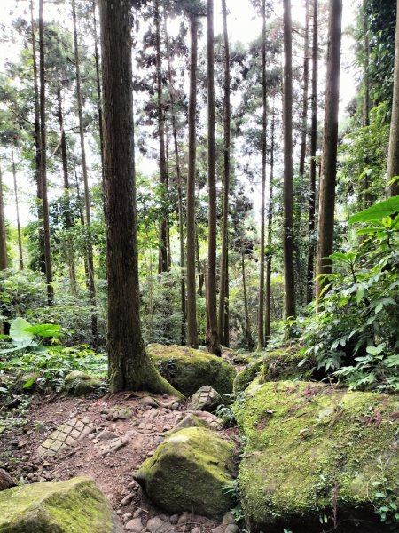 五指山登山步道2269239