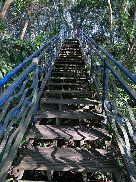 和美山螢火蟲段2873330