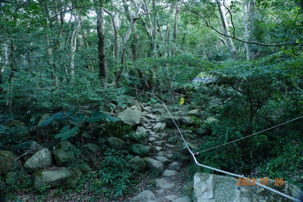 屏東 獅子鄉 里龍山(里隆山、里瀧山、鯉龍山)、下里龍山2018547