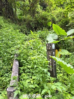 【台中北屯】大坑1號步道3095043