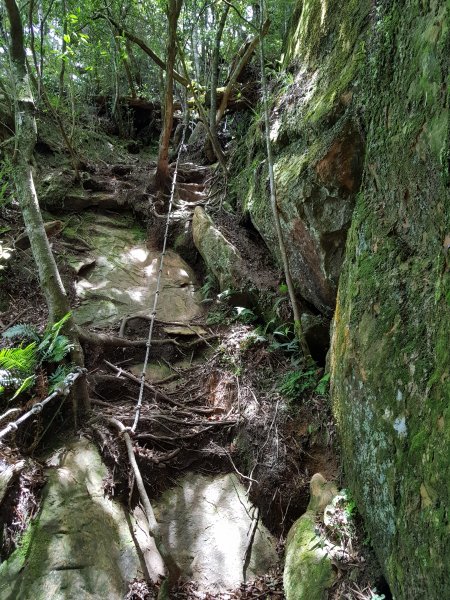 復興三尖之那結山1423103