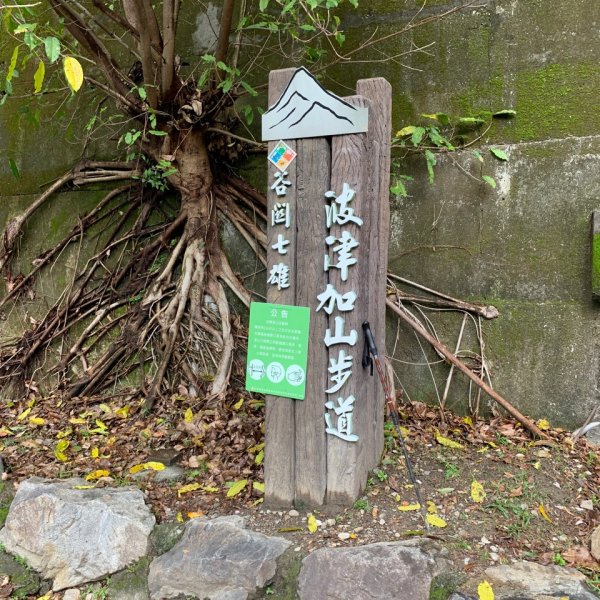 波津加山封面