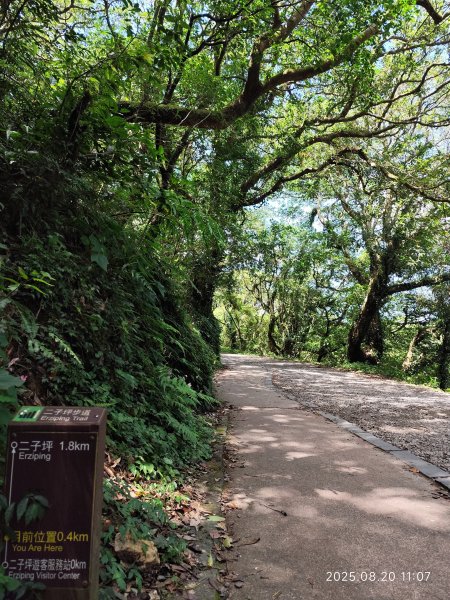 【臺北大縱走1+2】2-1 二子坪步道→面天山向天山步道→梓園(五感體驗場)→面天坪涼亭→大屯山西峰2866832