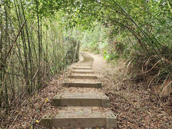 苗栗三灣｜龍峎頂步道2973697