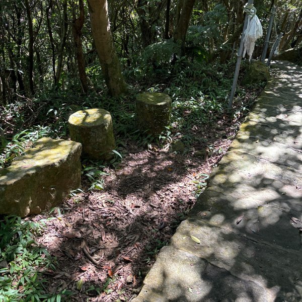 大崙頭山、大崙尾山2922666