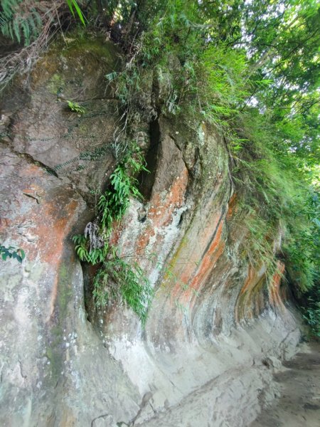 鳶山-小百岳#19-新北市三峽區2246874