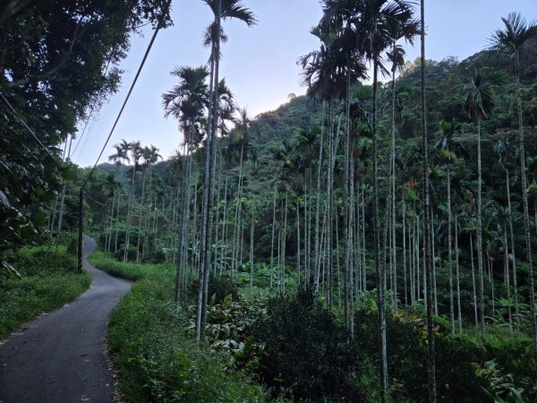 石牛山（小百岳）2909969