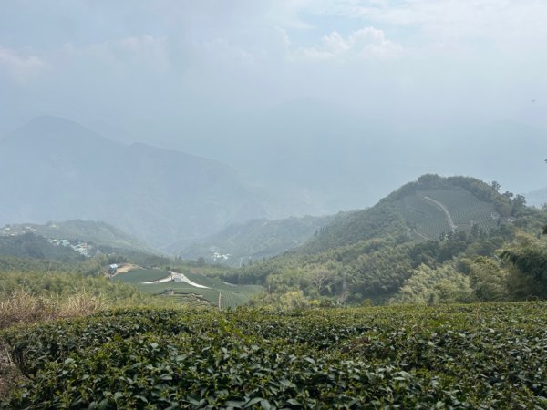 嘉義梅山-大尖山-小百岳0562456168