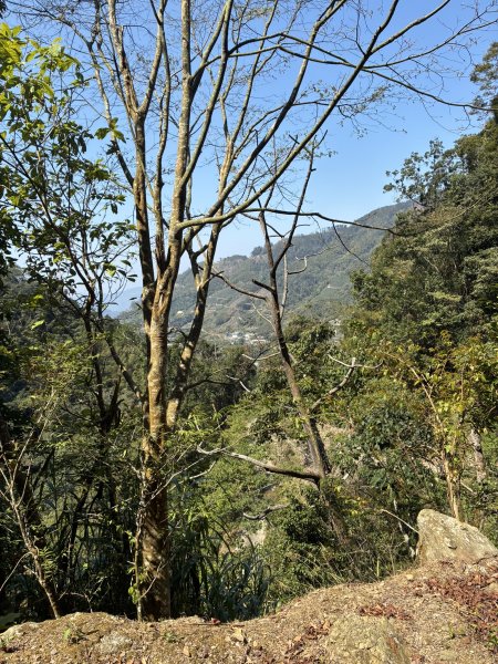 20260322[公車]石壁山&嘉南雲峰3019923