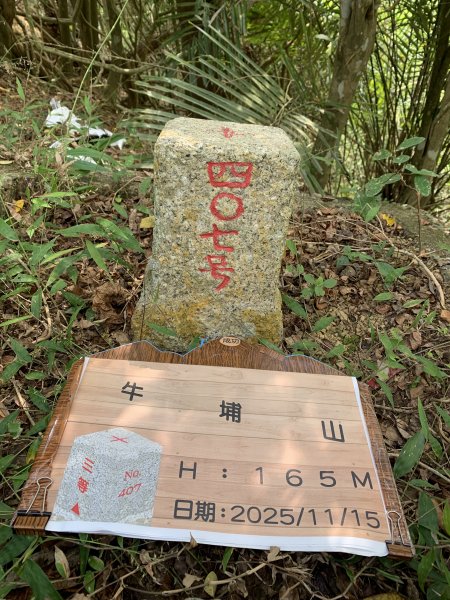 20251115台南牛埔山2938110