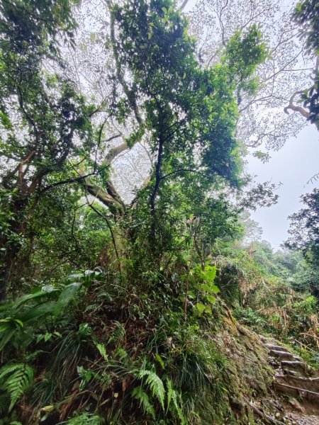 天上山雨中漫步2643238