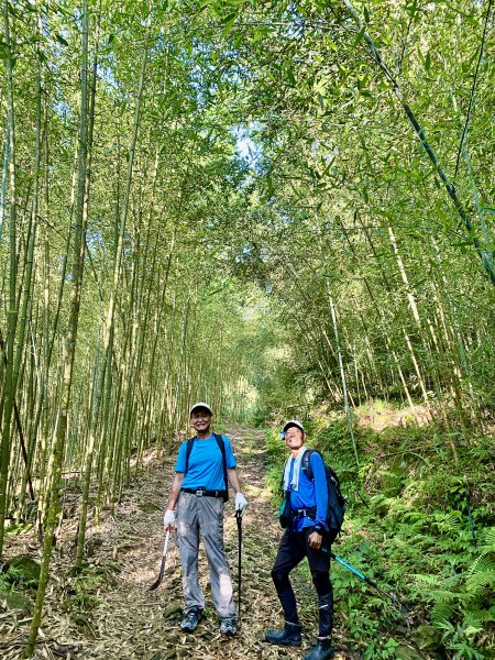 台中和平登觀音山東北峰.神谷山.遠藤山東峰.竹林.達觀山    2022/6/291749911