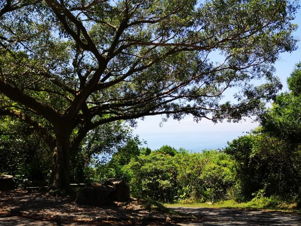 大里天公廟～埡口1829260