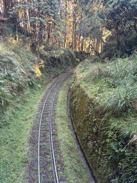 20251225塔山步道(大塔山)2970318