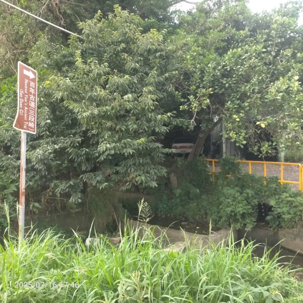 皮皮:三段崎古道2838661