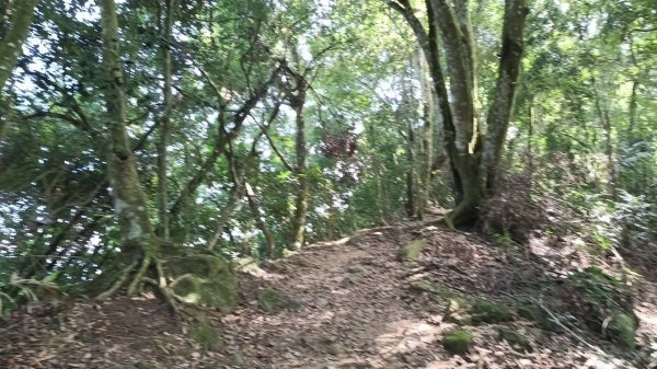 20251004 馬那邦山 - 珠湖 登山口2904924